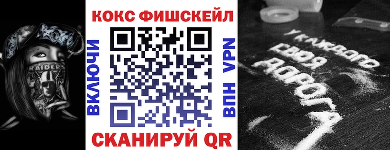 Купить закладки  Гвардейск  COCAIN 98% 