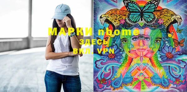 стаф Касимов