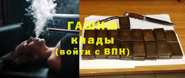 стаф Касимов