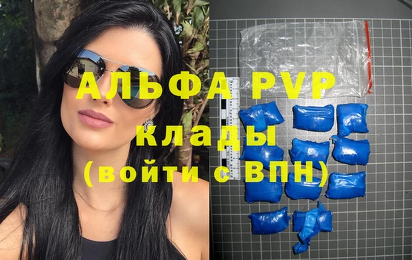 стаф Касимов