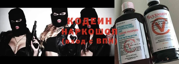стаф Касимов