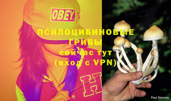 марки nbome Карпинск