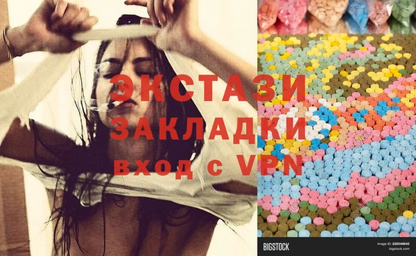 стаф Касимов