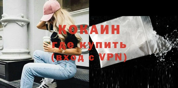 стаф Касимов