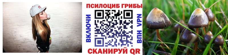 Псилоцибиновые грибы Psilocybine cubensis  Купить закладки  Гвардейск 
