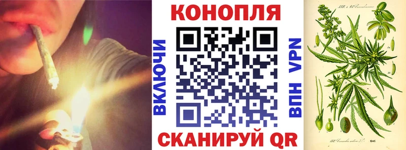 Купить закладки  Гвардейск  Каннабис White Widow 